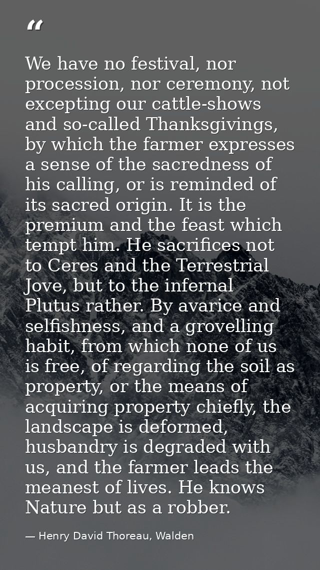 We have no festival, nor procession, nor ceremony, not excepting our cattle-shows and so-called Thanksgivings, by which  — Henry David Thoreau, Walden