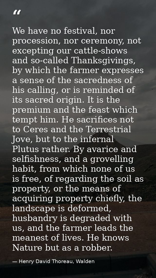 We have no festival, nor procession, nor ceremony, not excepting our cattle-shows and so-called Thanksgivings, by which  — Henry David Thoreau, Walden