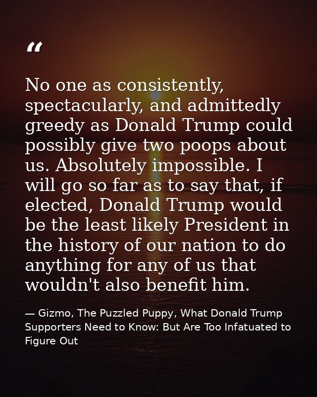 No one as consistently, spectacularly, and admittedly greedy as Donald Trump could possibly give two poops about us. Abs — Gizmo, The Puzzled Puppy, What Donald Trump Supporters Need to Know: But Are Too Infatuated to Figure Out