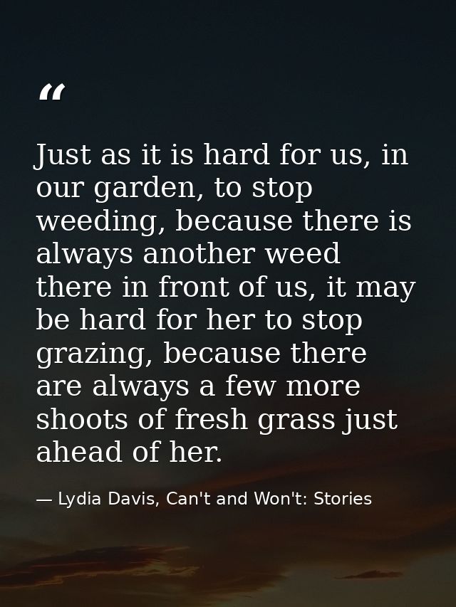 Just as it is hard for us, in our garden, to stop weeding, because there is always another weed there in front of us, it — Lydia Davis, Can't and Won't: Stories