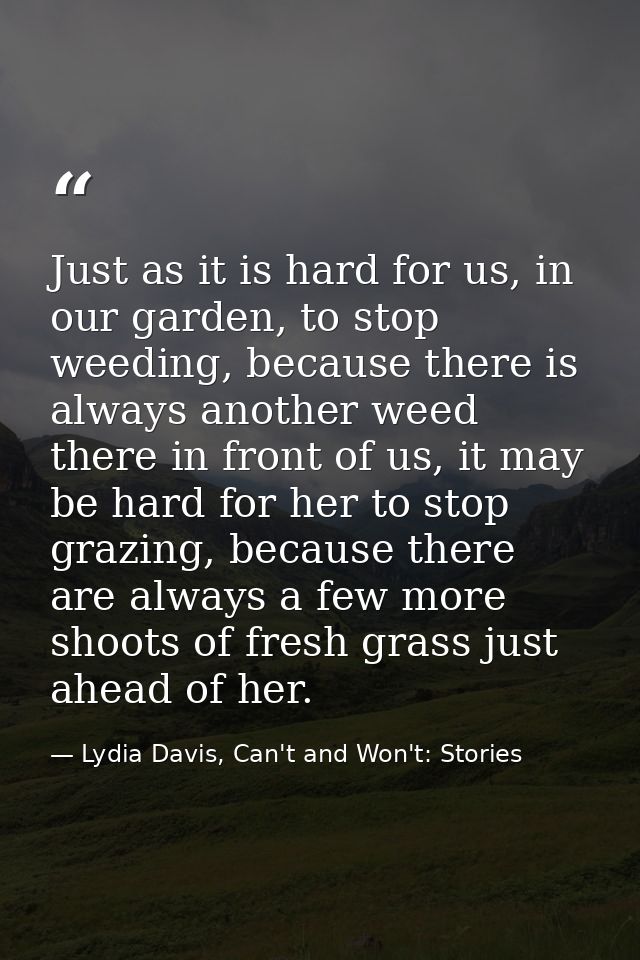 Just as it is hard for us, in our garden, to stop weeding, because there is always another weed there in front of us, it — Lydia Davis, Can't and Won't: Stories