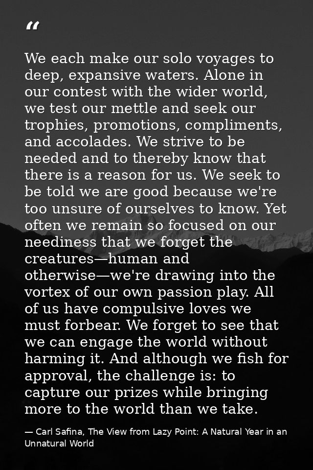 We each make our solo voyages to deep, expansive waters. Alone in our contest with the wider world, we test our mettle a — Carl Safina, The View from Lazy Point: A Natural Year in an Unnatural World