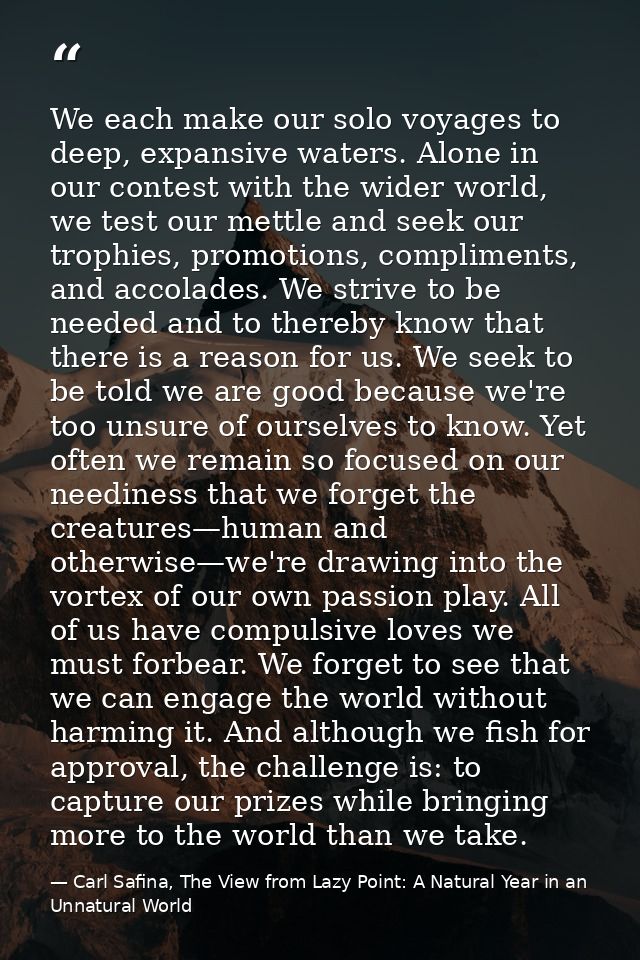 We each make our solo voyages to deep, expansive waters. Alone in our contest with the wider world, we test our mettle a — Carl Safina, The View from Lazy Point: A Natural Year in an Unnatural World