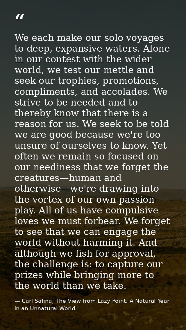 We each make our solo voyages to deep, expansive waters. Alone in our contest with the wider world, we test our mettle a — Carl Safina, The View from Lazy Point: A Natural Year in an Unnatural World