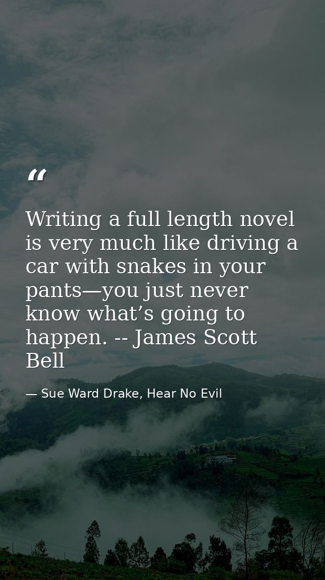 Writing a full length novel is very much like driving a car with snakes in your pants—you just never know what’s going t — Sue Ward Drake, Hear No Evil