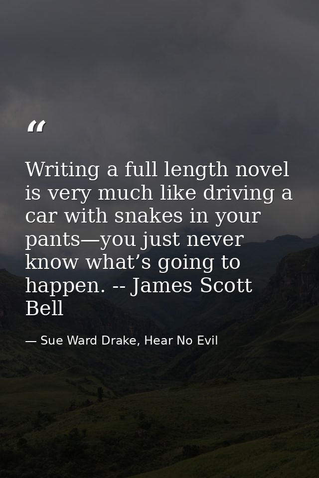 Writing a full length novel is very much like driving a car with snakes in your pants—you just never know what’s going t — Sue Ward Drake, Hear No Evil