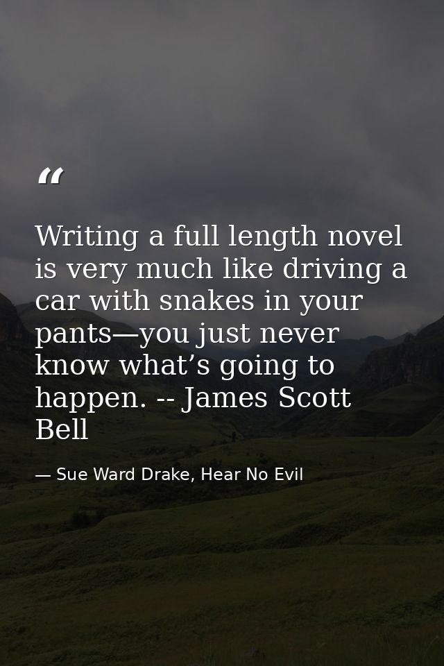 Writing a full length novel is very much like driving a car with snakes in your pants—you just never know what’s going t — Sue Ward Drake, Hear No Evil