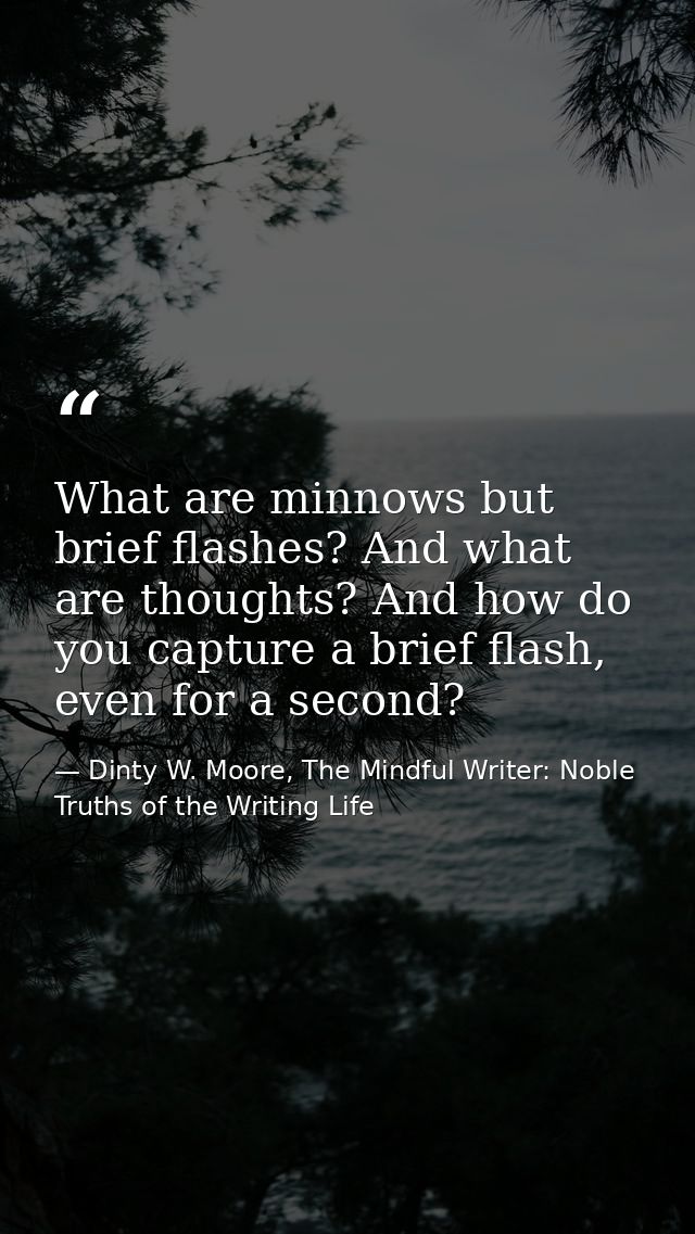 What are minnows but brief flashes? And what are thoughts? And how do you capture a brief flash, even for a second? — Dinty W. Moore, The Mindful Writer: Noble Truths of the Writing Life