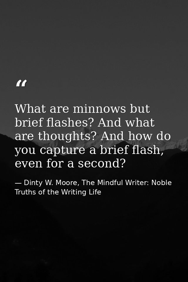 What are minnows but brief flashes? And what are thoughts? And how do you capture a brief flash, even for a second? — Dinty W. Moore, The Mindful Writer: Noble Truths of the Writing Life