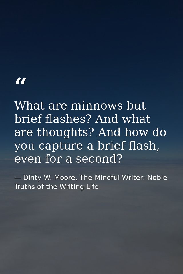 What are minnows but brief flashes? And what are thoughts? And how do you capture a brief flash, even for a second? — Dinty W. Moore, The Mindful Writer: Noble Truths of the Writing Life