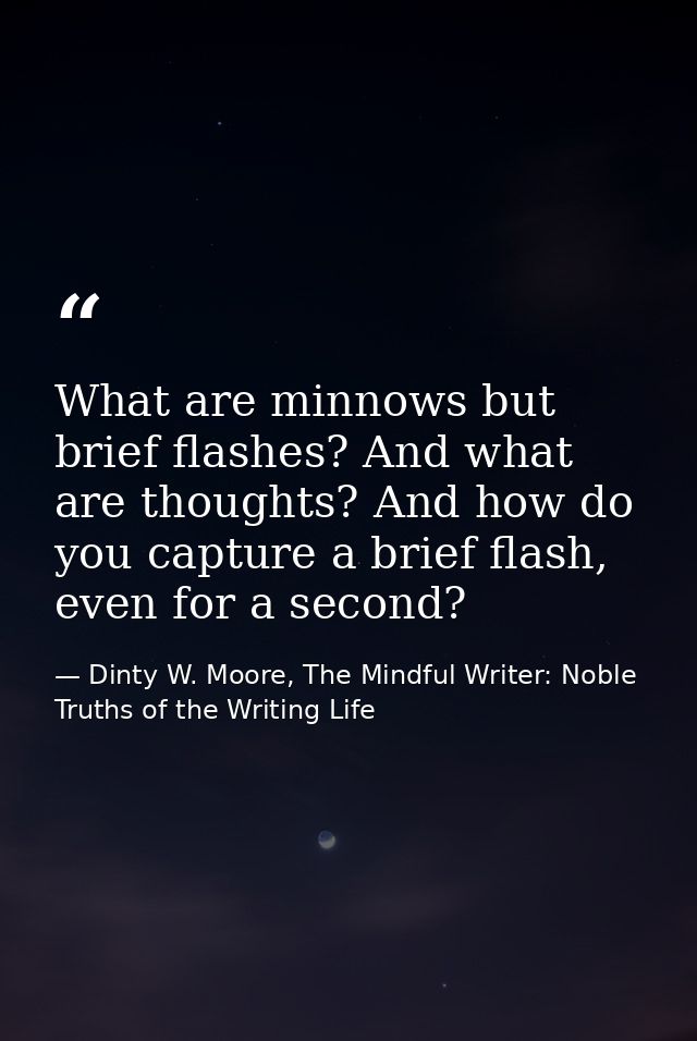 What are minnows but brief flashes? And what are thoughts? And how do you capture a brief flash, even for a second? — Dinty W. Moore, The Mindful Writer: Noble Truths of the Writing Life