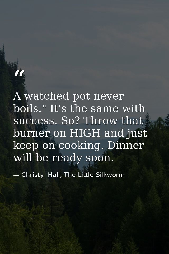 A watched pot never boils." It's the same with success. So? Throw that burner on HIGH and just keep on cooking. Dinner w — Christy  Hall, The Little Silkworm