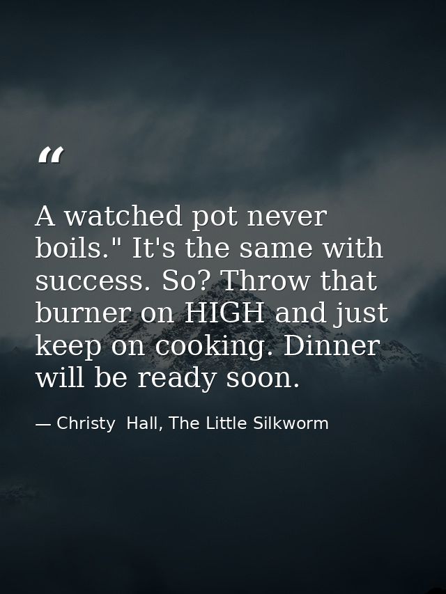A watched pot never boils." It's the same with success. So? Throw that burner on HIGH and just keep on cooking. Dinner w — Christy  Hall, The Little Silkworm