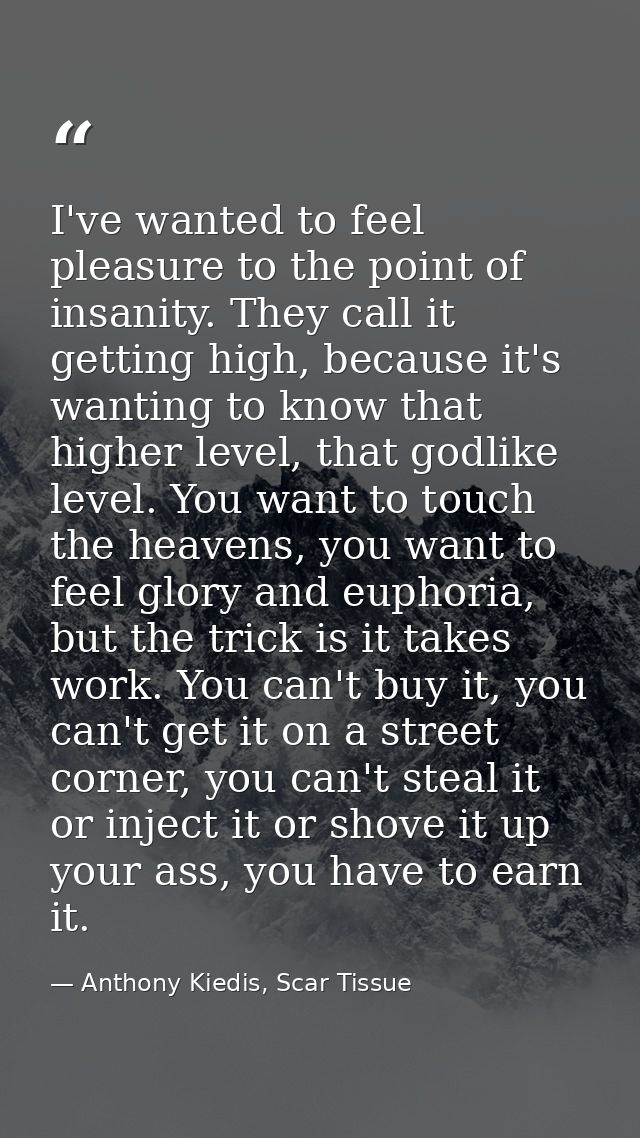 I've wanted to feel pleasure to the point of insanity. They call it getting high, because it's wanting to know that high — Anthony Kiedis, Scar Tissue