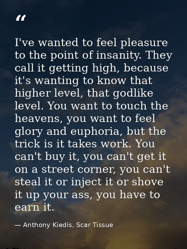 I've wanted to feel pleasure to the point of insanity. They call it getting high, because it's wanting to know that high — Anthony Kiedis, Scar Tissue