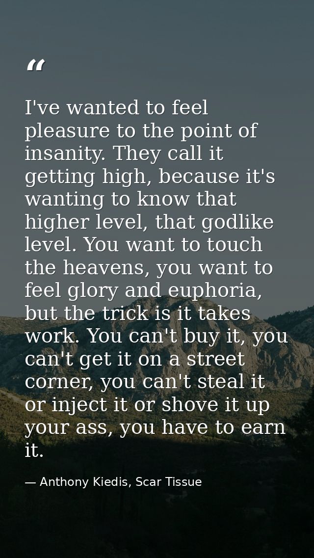 I've wanted to feel pleasure to the point of insanity. They call it getting high, because it's wanting to know that high — Anthony Kiedis, Scar Tissue