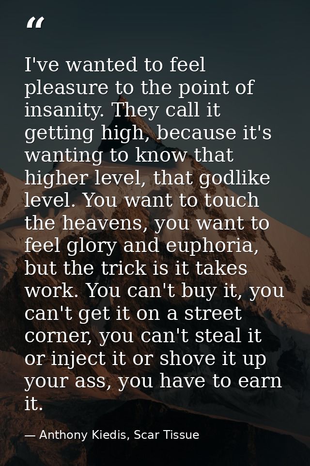 I've wanted to feel pleasure to the point of insanity. They call it getting high, because it's wanting to know that high — Anthony Kiedis, Scar Tissue