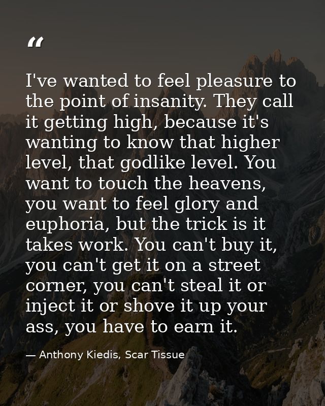 I've wanted to feel pleasure to the point of insanity. They call it getting high, because it's wanting to know that high — Anthony Kiedis, Scar Tissue