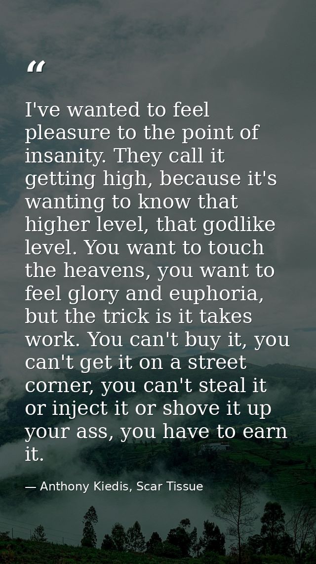 I've wanted to feel pleasure to the point of insanity. They call it getting high, because it's wanting to know that high — Anthony Kiedis, Scar Tissue