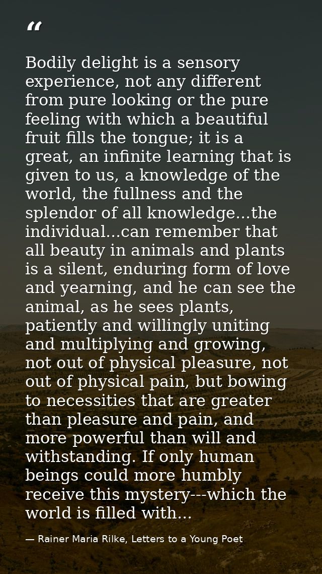 Bodily delight is a sensory experience, not any different from pure looking or the pure feeling with which a beautiful f — Rainer Maria Rilke, Letters to a Young Poet