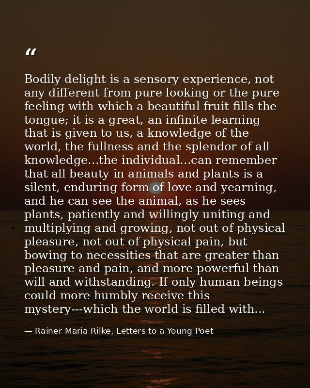 Bodily delight is a sensory experience, not any different from pure looking or the pure feeling with which a beautiful f — Rainer Maria Rilke, Letters to a Young Poet