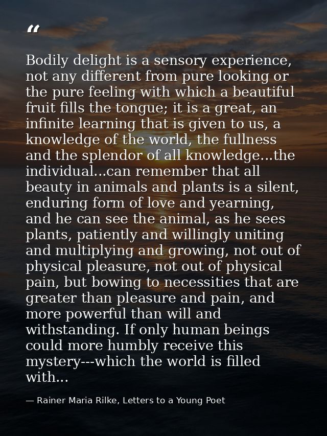 Bodily delight is a sensory experience, not any different from pure looking or the pure feeling with which a beautiful f — Rainer Maria Rilke, Letters to a Young Poet