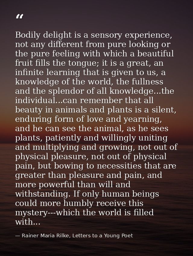 Bodily delight is a sensory experience, not any different from pure looking or the pure feeling with which a beautiful f — Rainer Maria Rilke, Letters to a Young Poet