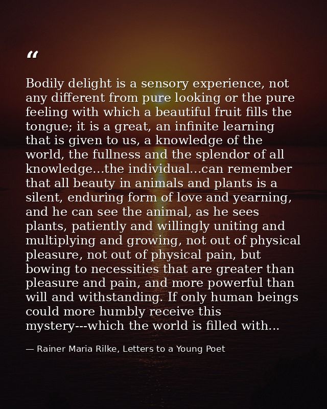 Bodily delight is a sensory experience, not any different from pure looking or the pure feeling with which a beautiful f — Rainer Maria Rilke, Letters to a Young Poet