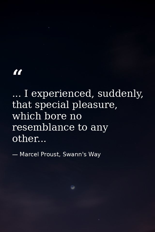 ... I experienced, suddenly, that special pleasure, which bore no resemblance to any other... — Marcel Proust, Swann's Way