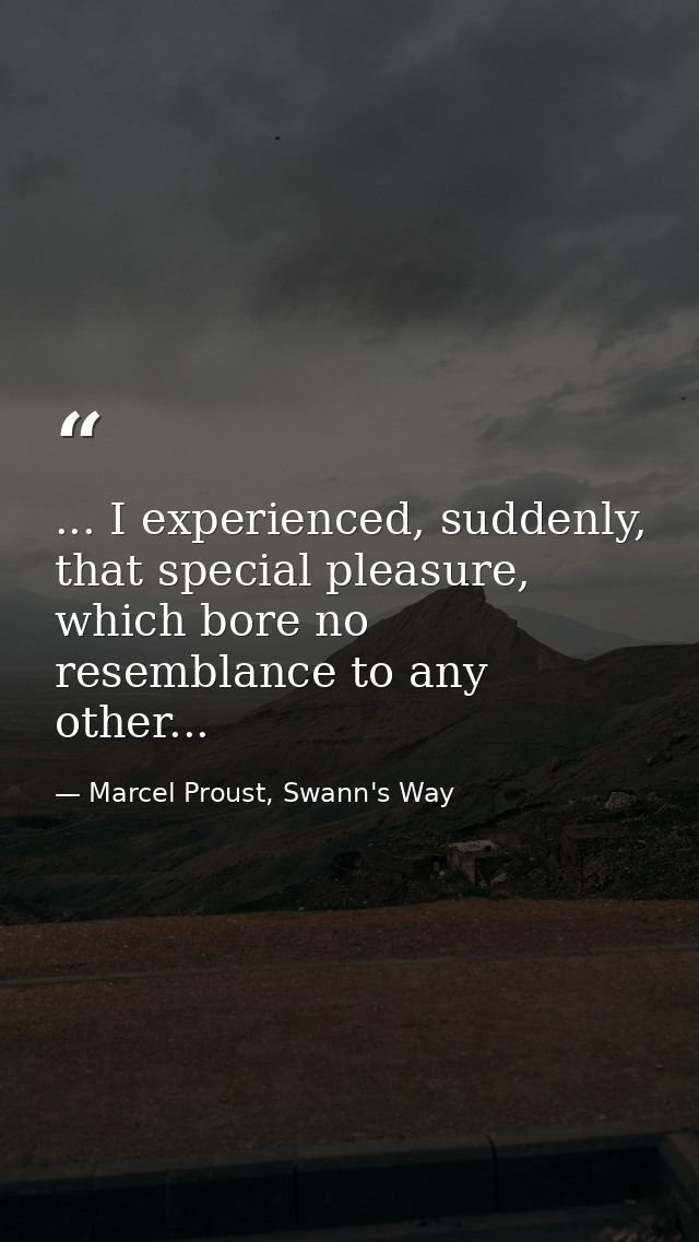 ... I experienced, suddenly, that special pleasure, which bore no resemblance to any other... — Marcel Proust, Swann's Way