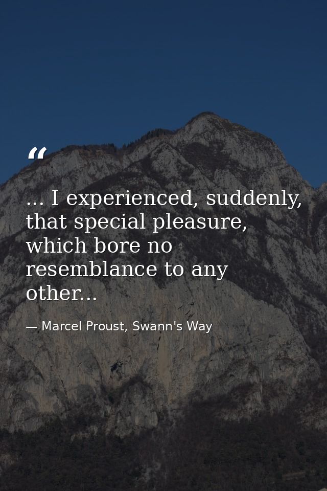 ... I experienced, suddenly, that special pleasure, which bore no resemblance to any other... — Marcel Proust, Swann's Way