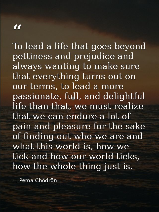 To lead a life that goes beyond pettiness and prejudice and always wanting to make sure that everything turns out on our — Pema Chödrön