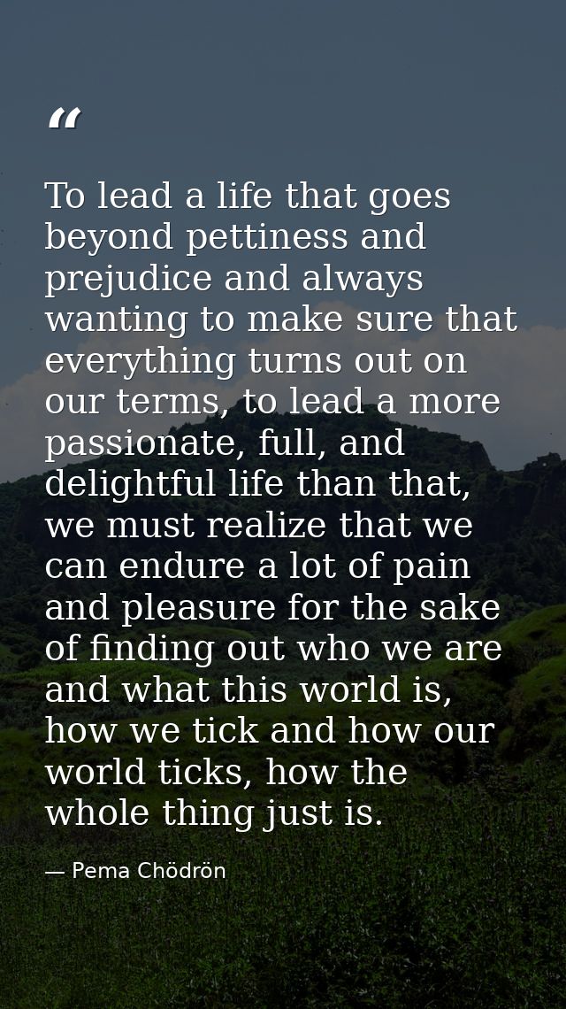 To lead a life that goes beyond pettiness and prejudice and always wanting to make sure that everything turns out on our — Pema Chödrön