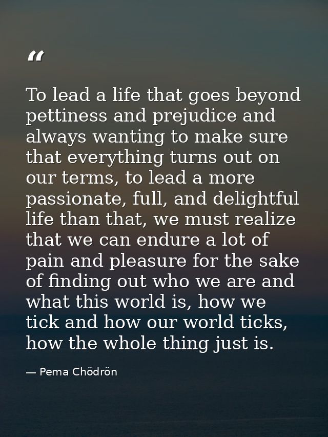 To lead a life that goes beyond pettiness and prejudice and always wanting to make sure that everything turns out on our — Pema Chödrön
