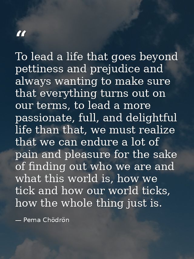 To lead a life that goes beyond pettiness and prejudice and always wanting to make sure that everything turns out on our — Pema Chödrön