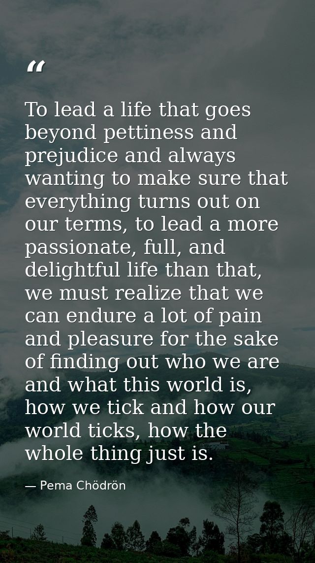To lead a life that goes beyond pettiness and prejudice and always wanting to make sure that everything turns out on our — Pema Chödrön