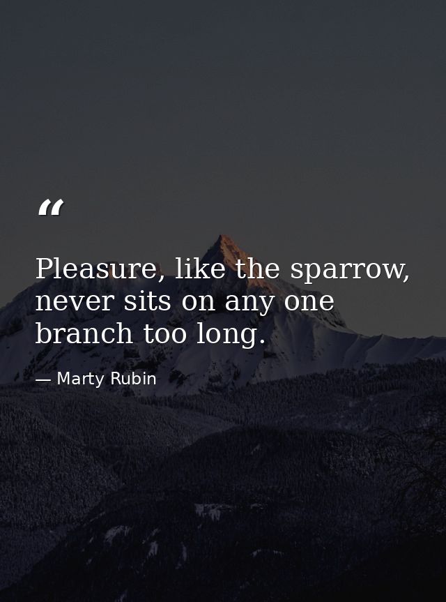 Pleasure, like the sparrow, never sits on any one branch too long. — Marty Rubin