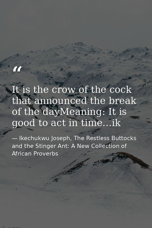 It is the crow of the cock that announced the break of the dayMeaning: It is good to act in time…ik — Ikechukwu Joseph, The Restless Buttocks and the Stinger Ant: A New Collection of African Proverbs