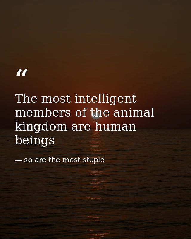 The most intelligent members of the animal kingdom are human beings — so are the most stupid