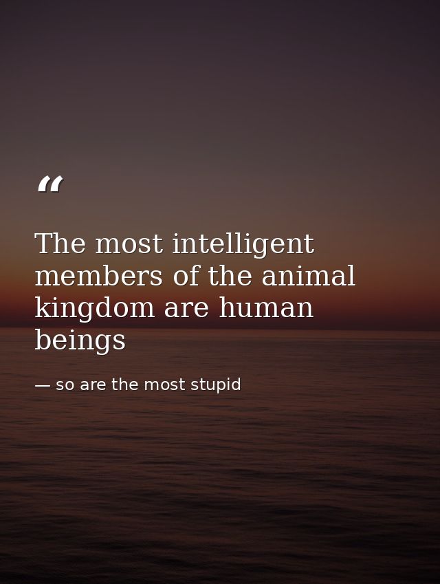 The most intelligent members of the animal kingdom are human beings — so are the most stupid