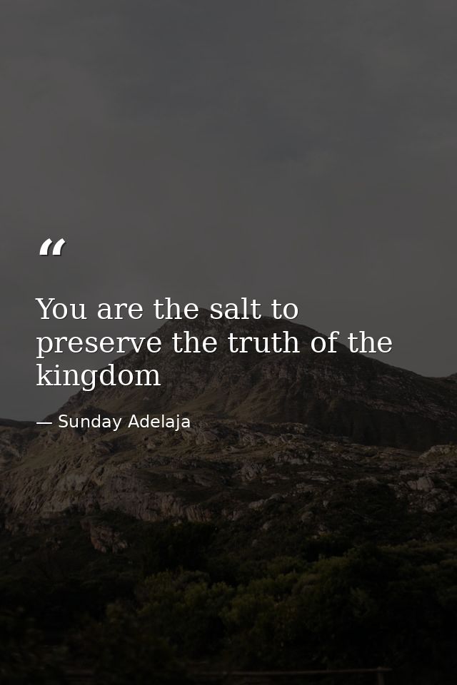 You are the salt to preserve the truth of the kingdom — Sunday Adelaja