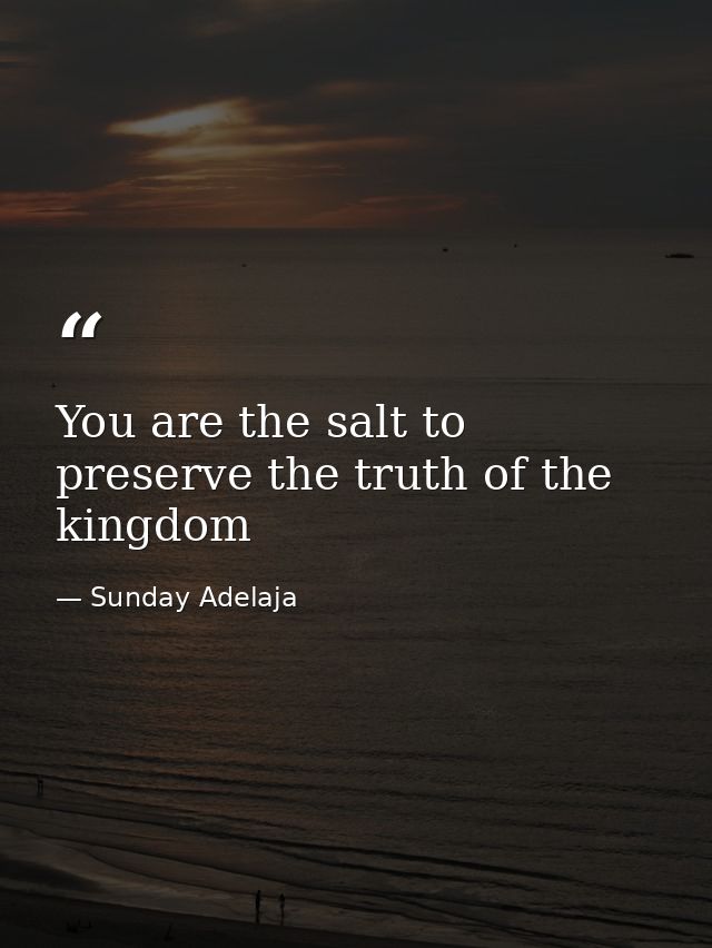 You are the salt to preserve the truth of the kingdom — Sunday Adelaja