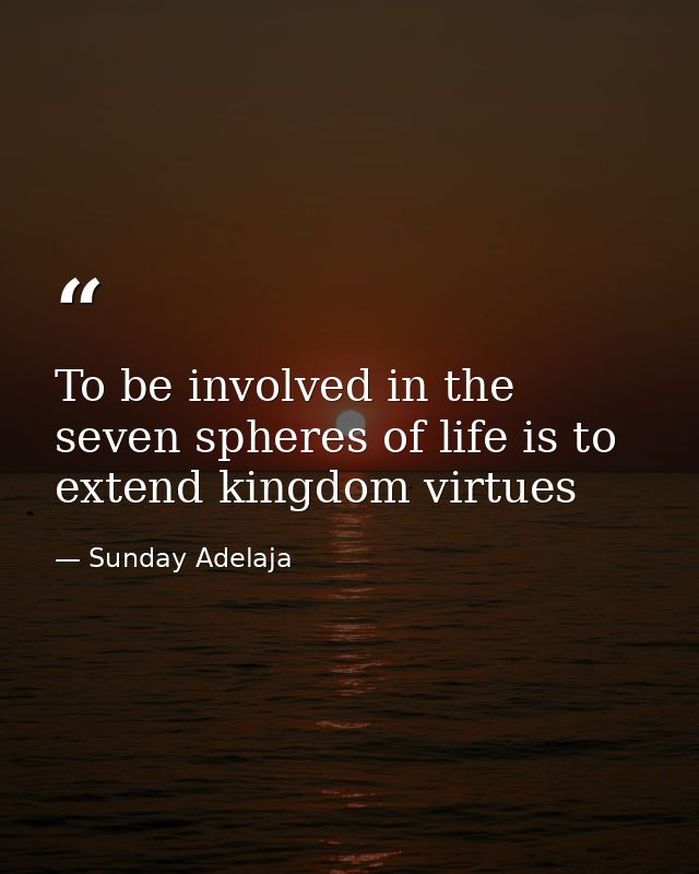 To be involved in the seven spheres of life is to extend kingdom virtues — Sunday Adelaja