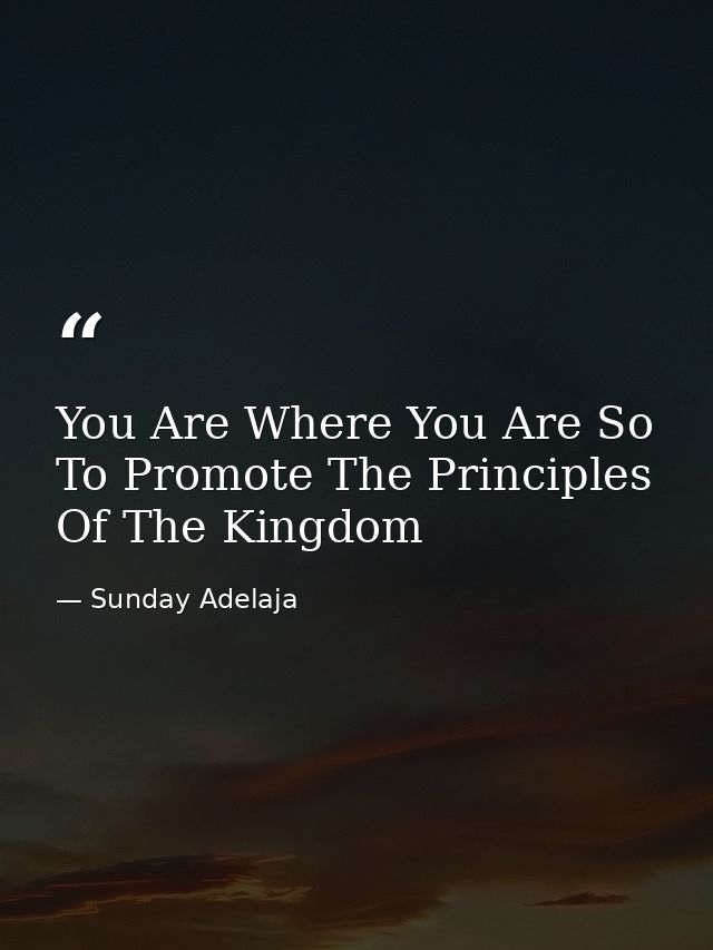 You Are Where You Are So To Promote The Principles Of The Kingdom — Sunday Adelaja