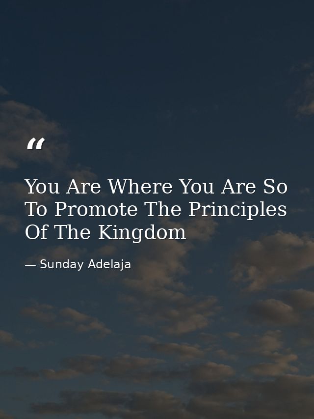 You Are Where You Are So To Promote The Principles Of The Kingdom — Sunday Adelaja