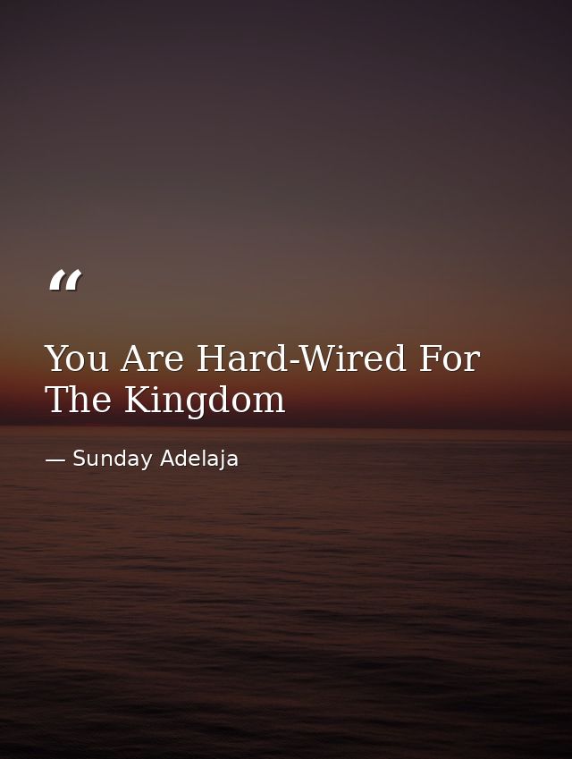 You Are Hard-Wired For The Kingdom — Sunday Adelaja