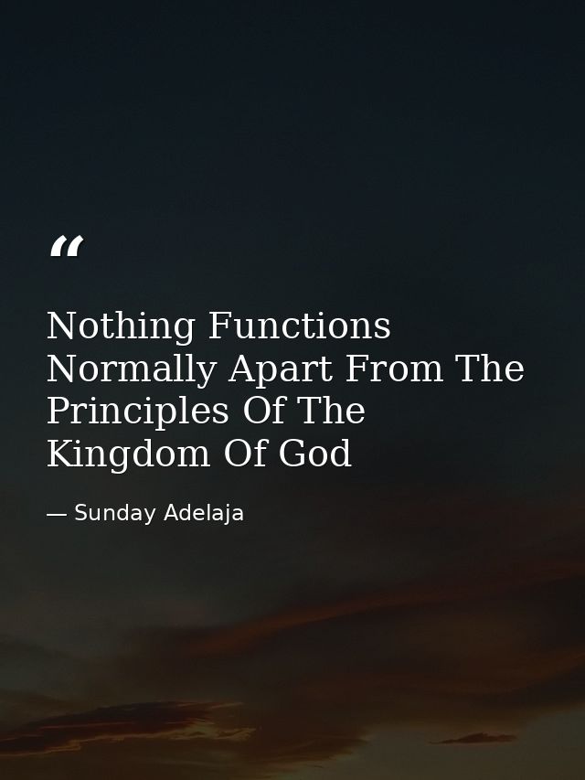 Nothing Functions Normally Apart From The Principles Of The Kingdom Of God — Sunday Adelaja