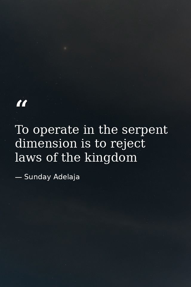 To operate in the serpent dimension is to reject laws of the kingdom — Sunday Adelaja