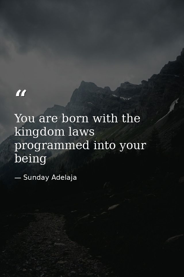 You are born with the kingdom laws programmed into your being — Sunday Adelaja