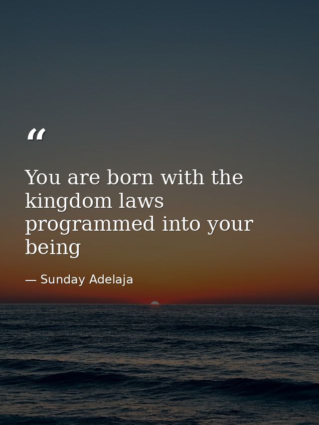 You are born with the kingdom laws programmed into your being — Sunday Adelaja